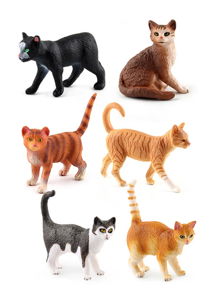 Chatons miniatures Bengal Ragd - Kids Toys Reviews avis et prix